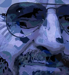Ringo 4, occhio, 2013